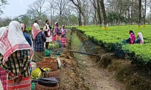 JMM’s entry reshapes electoral battle in Dibrugarh, leads to multi-cornered contests