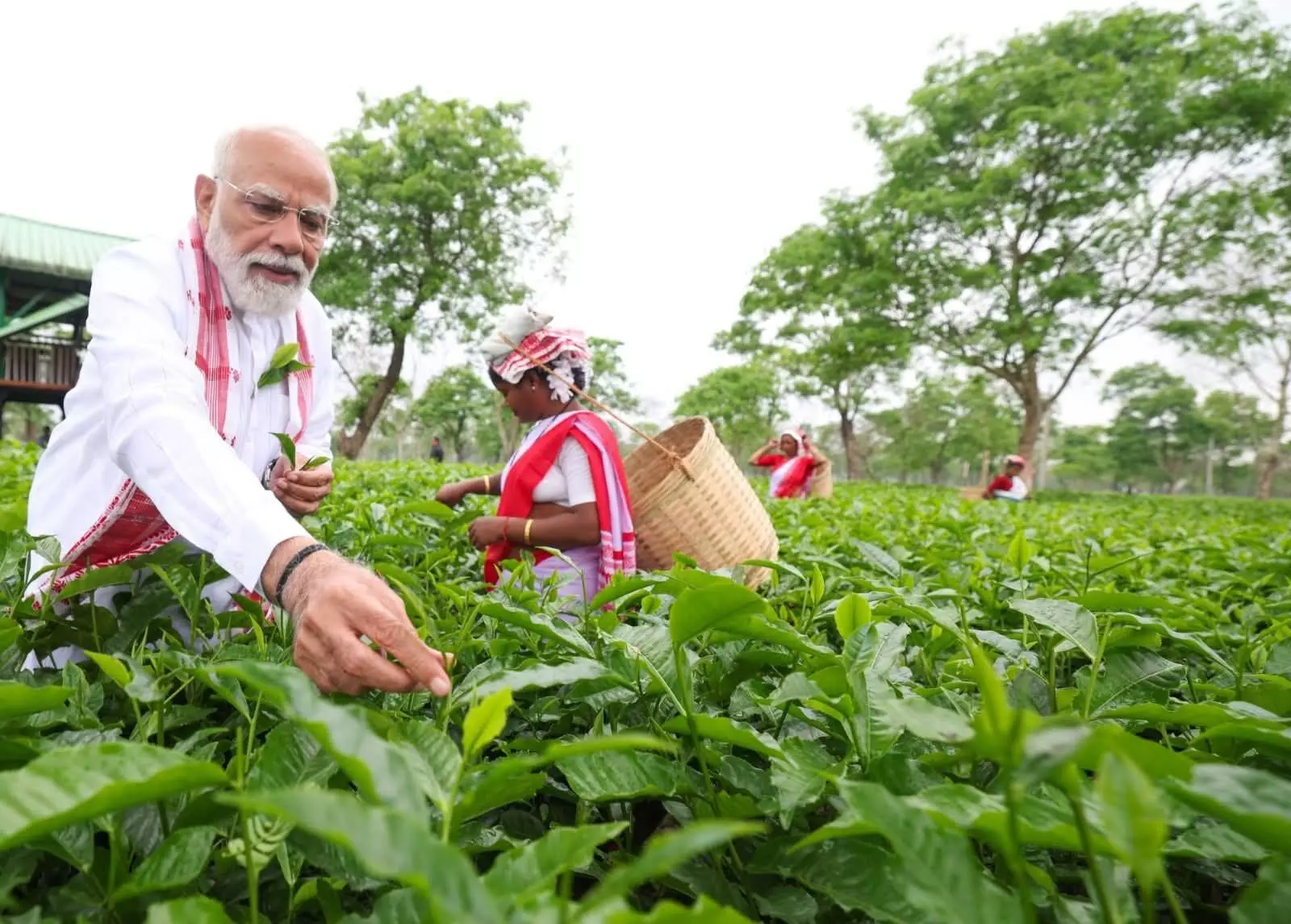 Poll trail pit stop: PM Modi meets tea workers in Dibrugarh, hails global legacy
