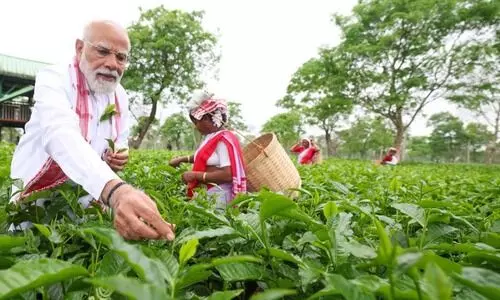 Poll trail pit stop: PM Modi meets tea workers in Dibrugarh, hails global legacy
