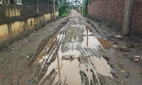 Pulse of the polls: Civic woes dominate voter concerns in Dimoria