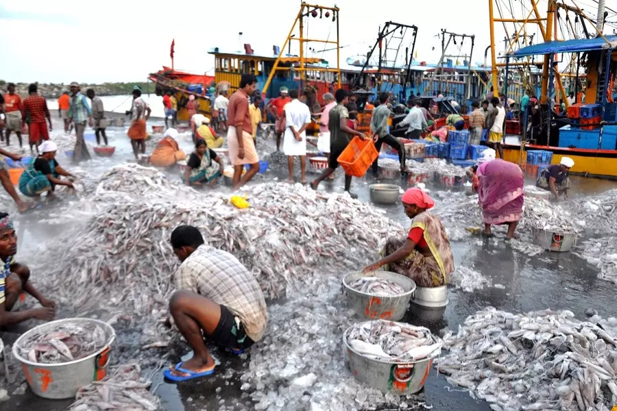 Rs 39,272 cr invested in fisheries since 2015; exports double