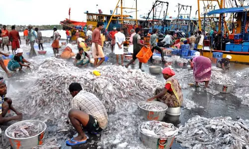 Rs 39,272 cr invested in fisheries since 2015; exports double