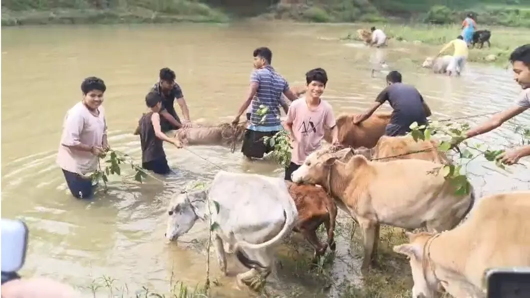 Goru Bihu sets tone for Rongali Bihu as Assam honours its agrarian roots Goru Bihu sets tone for Rongali Bihu as Assam honours its agrarian roots