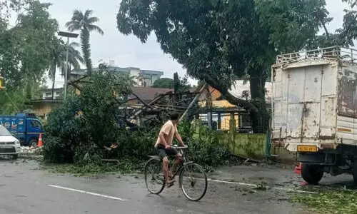 Powerful storm batters Kokrajhar, uproots trees, disrupts power supply