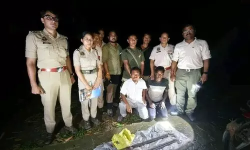 Joint operation foils rhino poaching bid in Kaziranga; two held, firearms seized