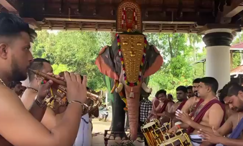 Delhi pushes robotic elephants at religious events after PETA India intervention