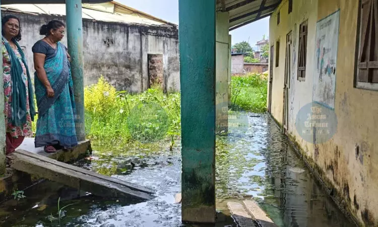 Snakes, frogs & stagnant water: Inside Guwahati school’s struggle for basics