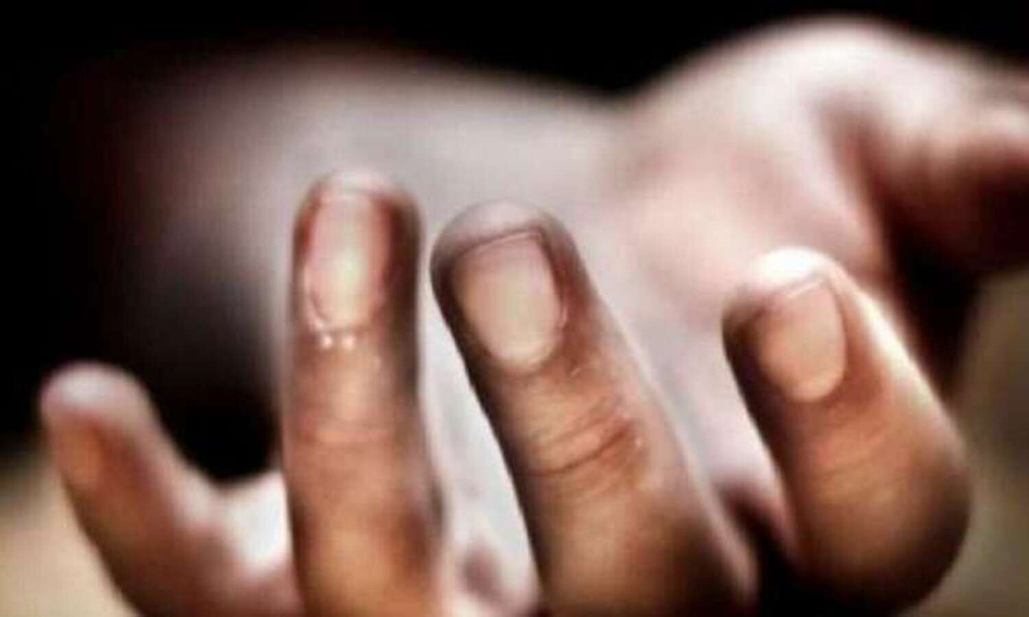 Truck driver beaten to death in Tripura