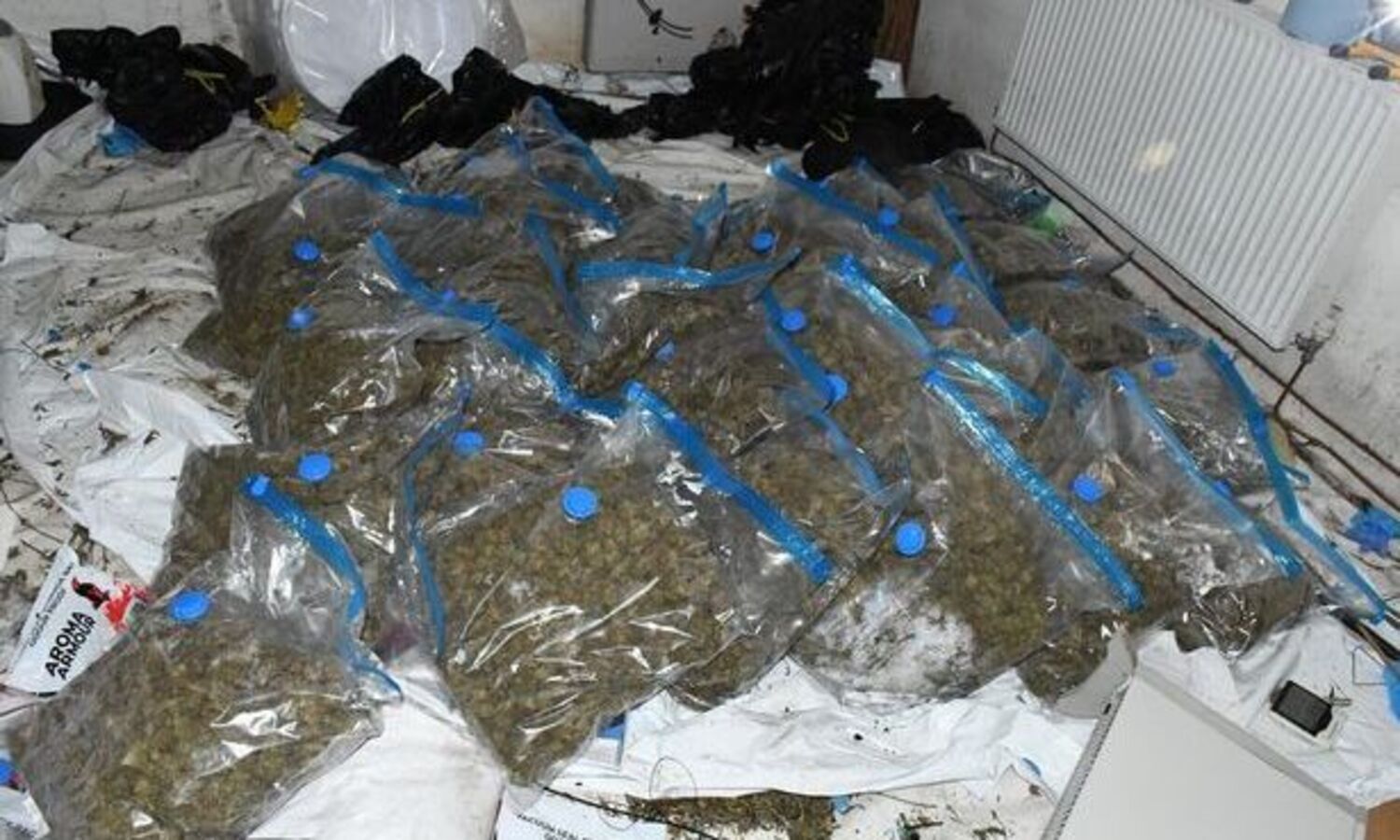 NCB Busts Drug Factory In Mumbai, Unearths Dawood Link