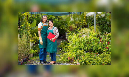 Starting A Nursery Business