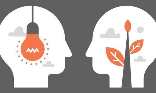 Understanding The Role Of A Mentor