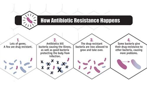 Dark side of antibiotics