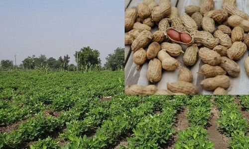 GEOGRAPHY FOR UPSC/APSC EXAM