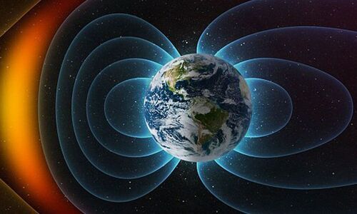 SCIENCE ZONE - Birds have built-in sat-nav!