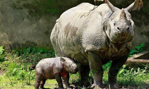 Basics of conservation