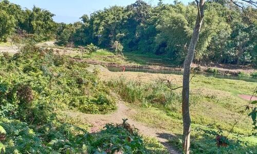 Meandering across Sadiya