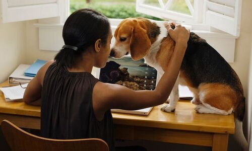 Unconditional healing