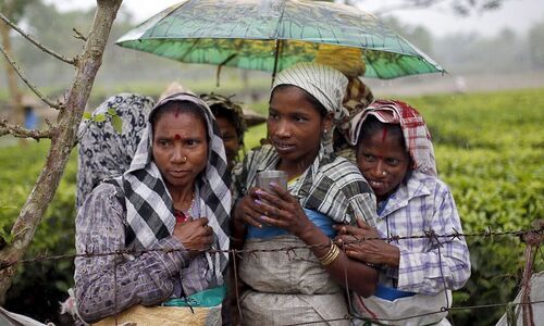 WOMEN PLUS - Curse of womanhood