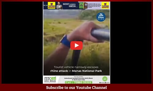 Tourist vehicle narrowly escapes rhino attack in Manas National Park