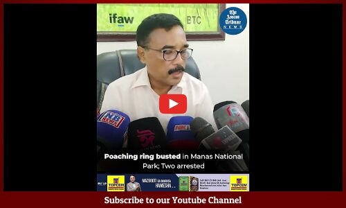 Poaching ring busted in Manas National Park; Two arrested