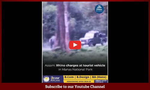 Assam: Rhino charges at tourist vehicle in Manas National Park