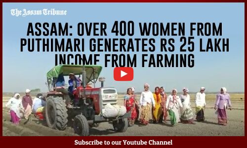 Assam: Over 400 women from Puthimari generate Rs 25 lakh income from farming