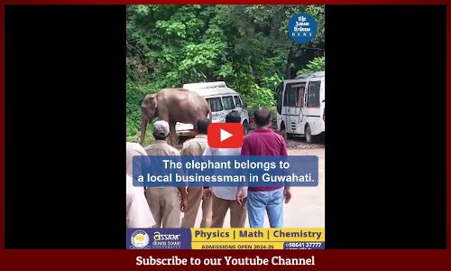 Guwahati: Domesticated elephant creates ruckus in front of Janata Bhawan