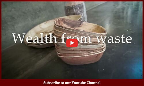 Trailer | Assam women making green waves through areca nut leaf sheath