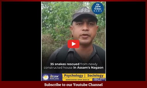 35 snakes rescued from newly constructed house in Assams Nagaon