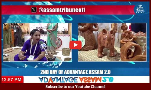 Discover states "past, present & future" at Advantage Assam 2.0
